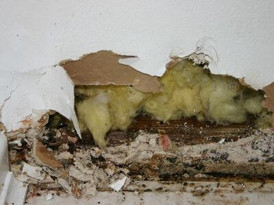 Professional water damage restoration services in North Hudson - Water Damage Restoration North Hudson